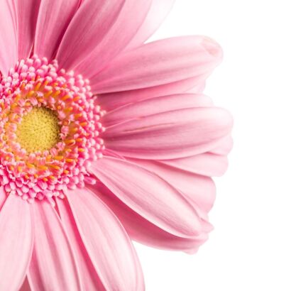 Kompozycja zapachowa SUBTLE FLOWERS magia kwiatów 1l